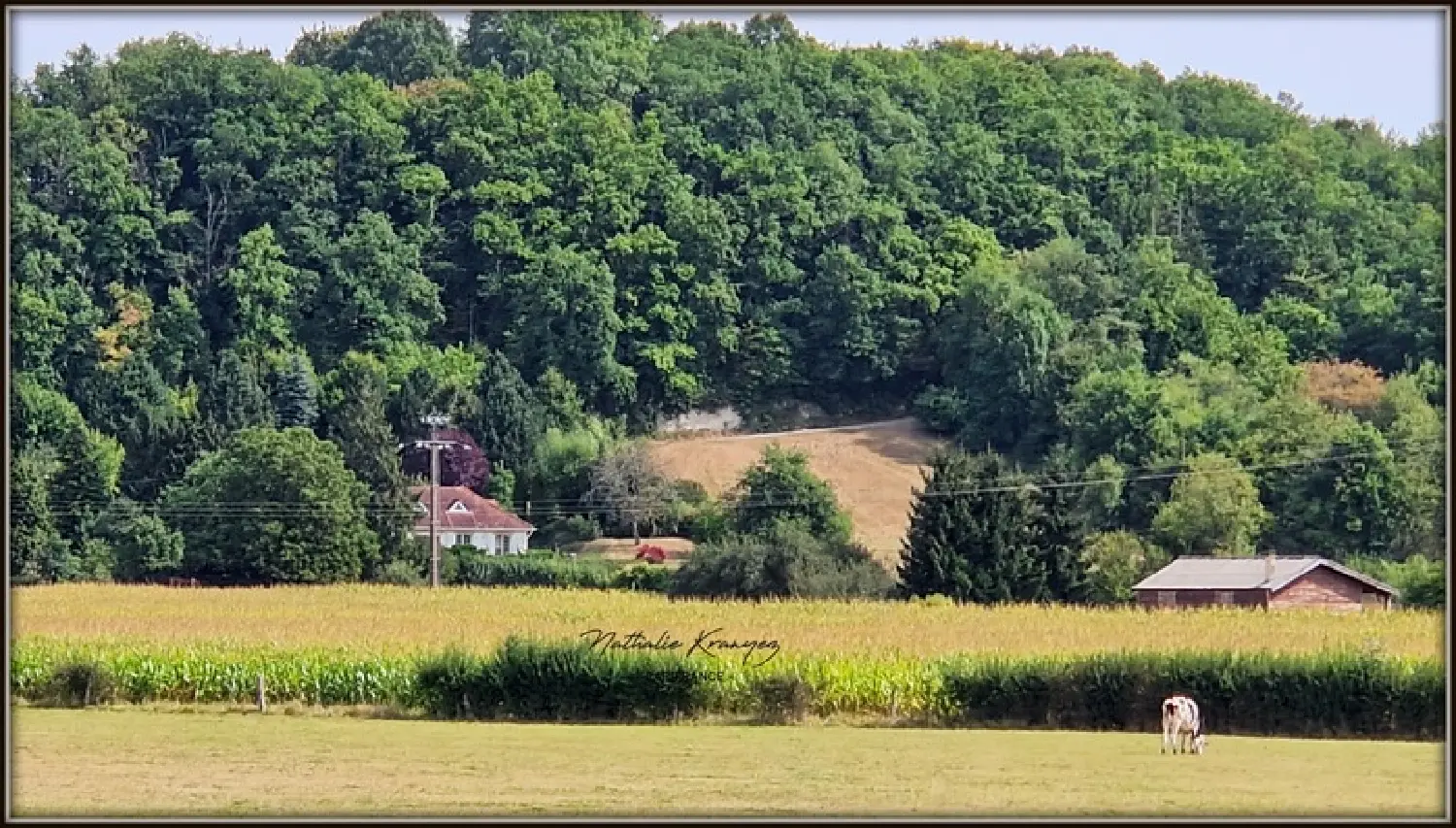  kaufen Haus Grandpré Ardennes 7