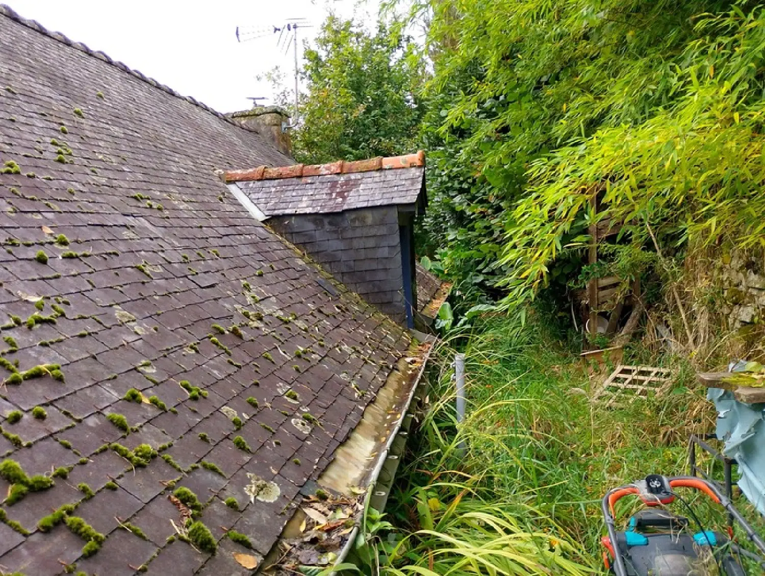  te koop huis Guéméné-sur-Scorff Morbihan 3