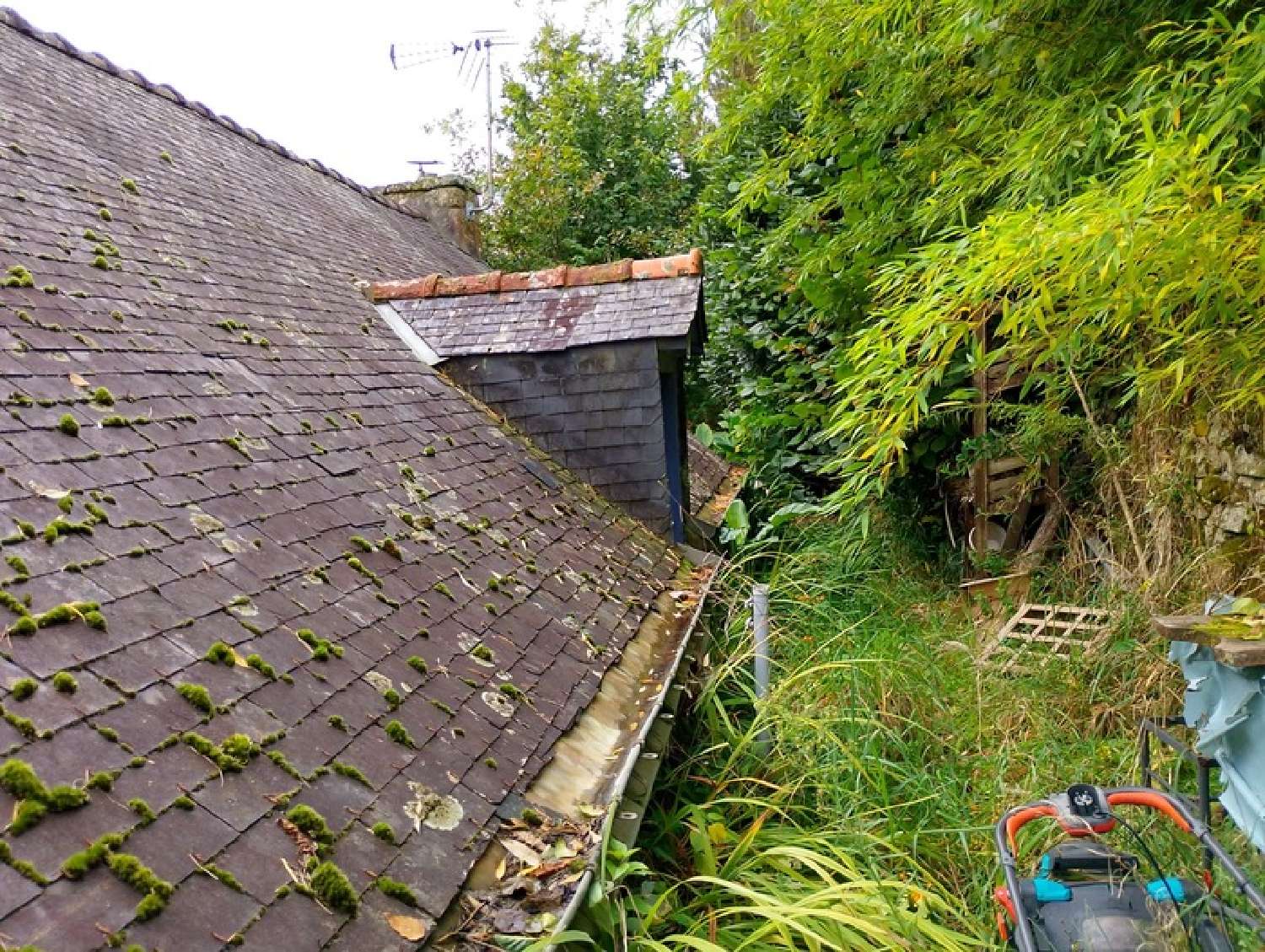  te koop huis Guéméné-sur-Scorff Morbihan 3