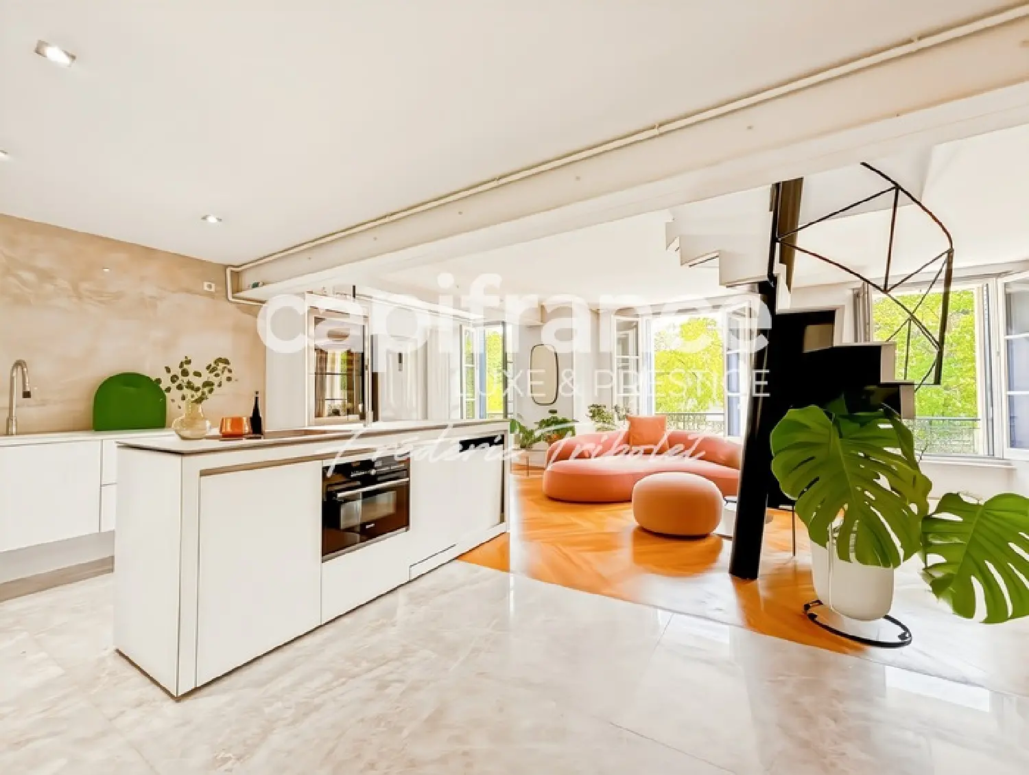  te koop huis Joinville-le-Pont Val-de-Marne 2