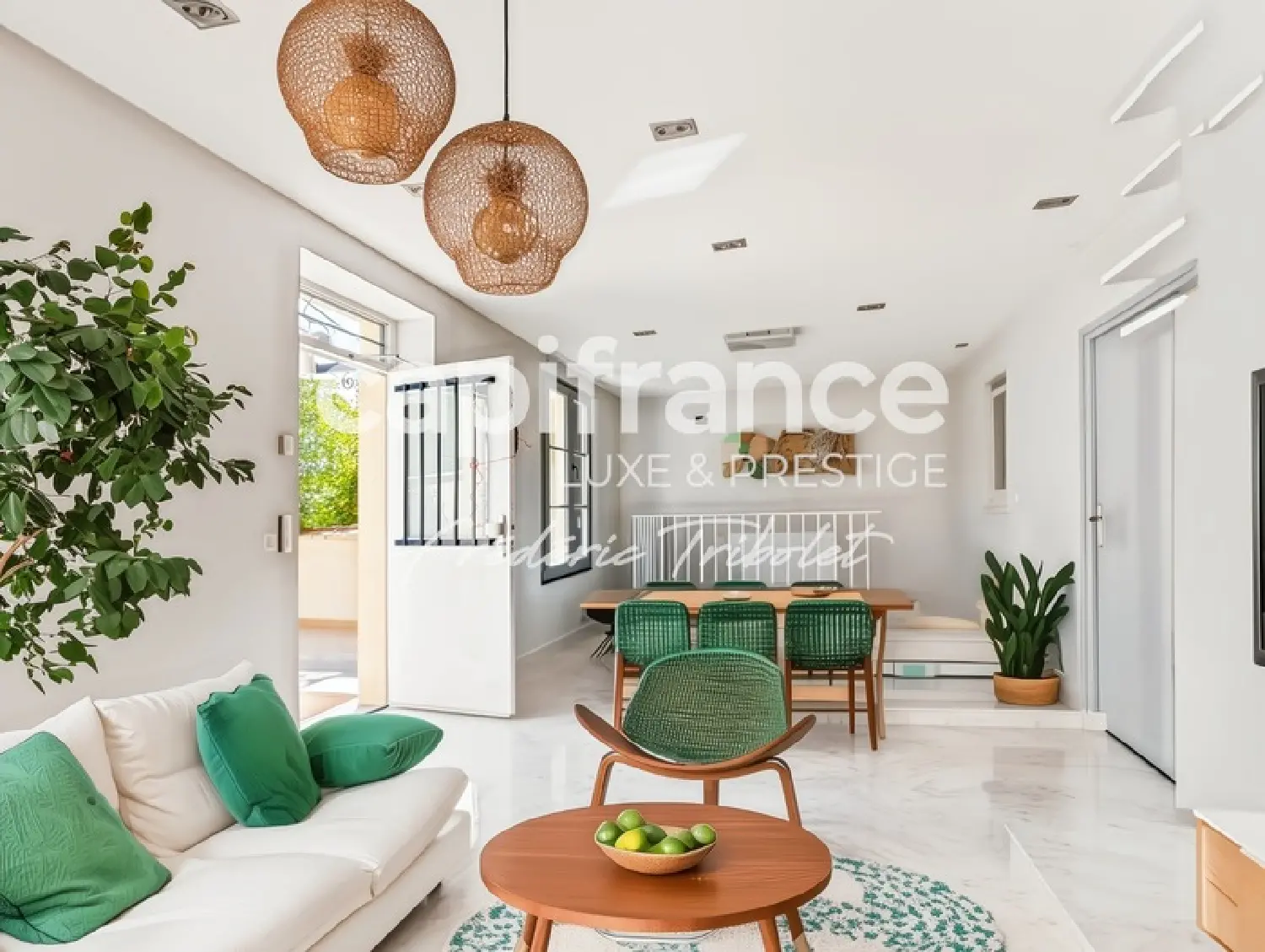  te koop huis Joinville-le-Pont Val-de-Marne 6