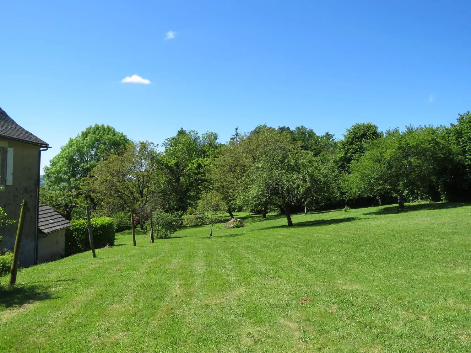  for sale house Juillac Corrèze 7