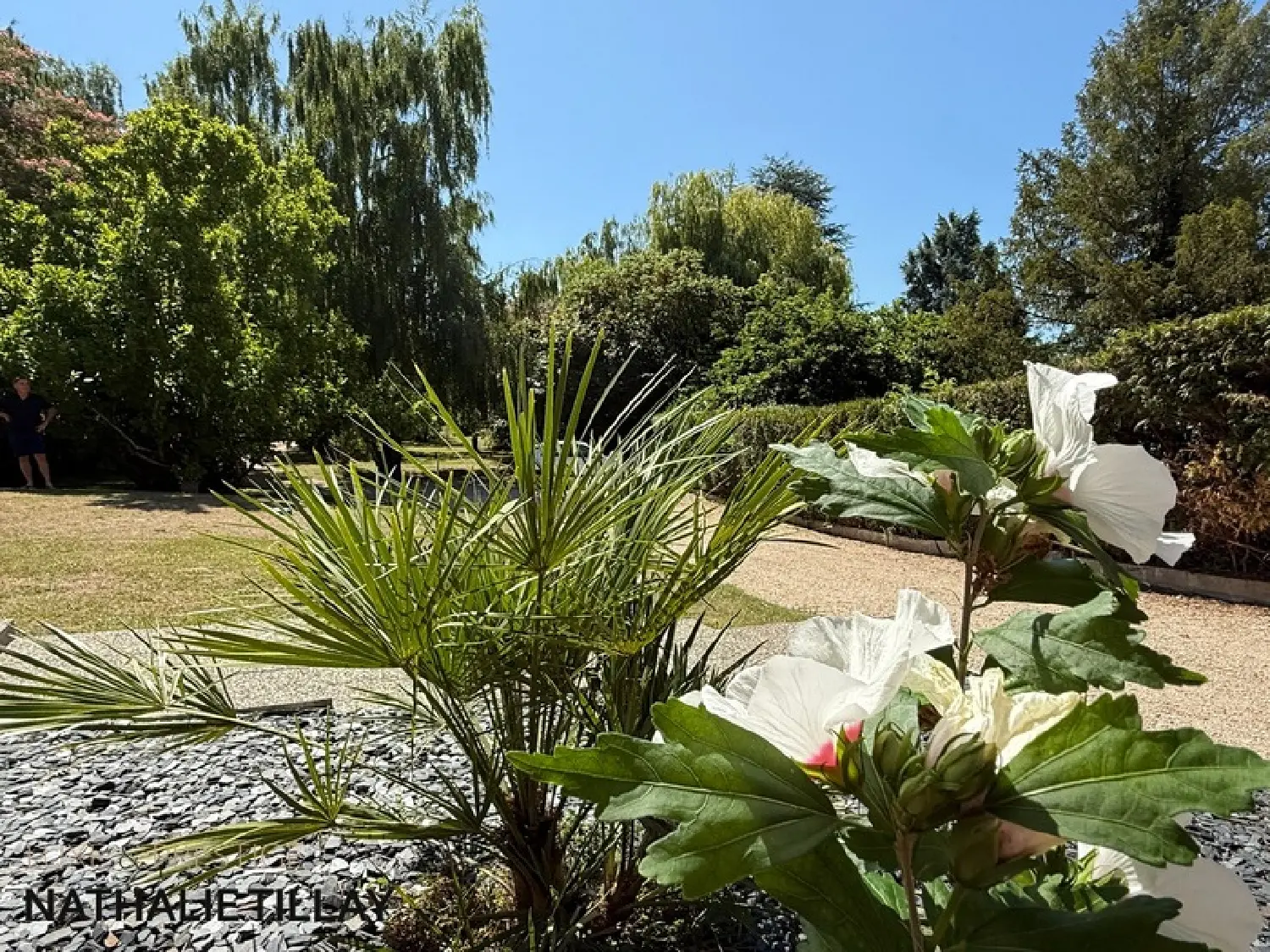  en venta casa La Chapelle-Saint-Mesmin Loiret 3