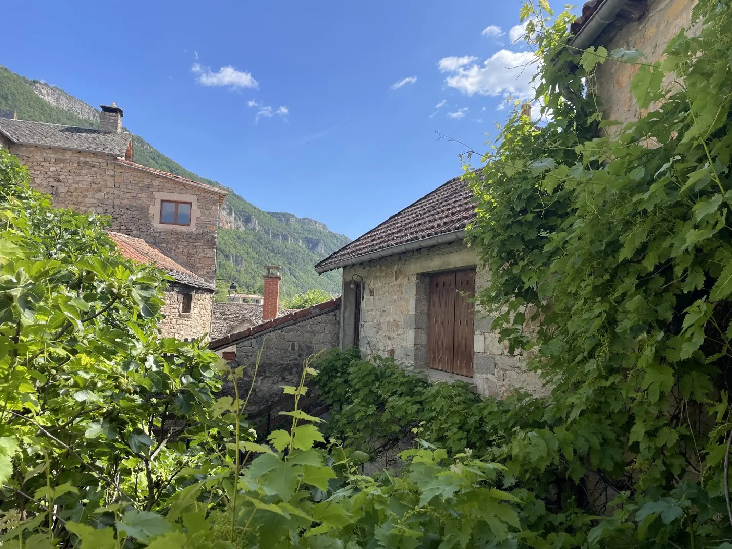  te koop huis La Cresse Aveyron 2