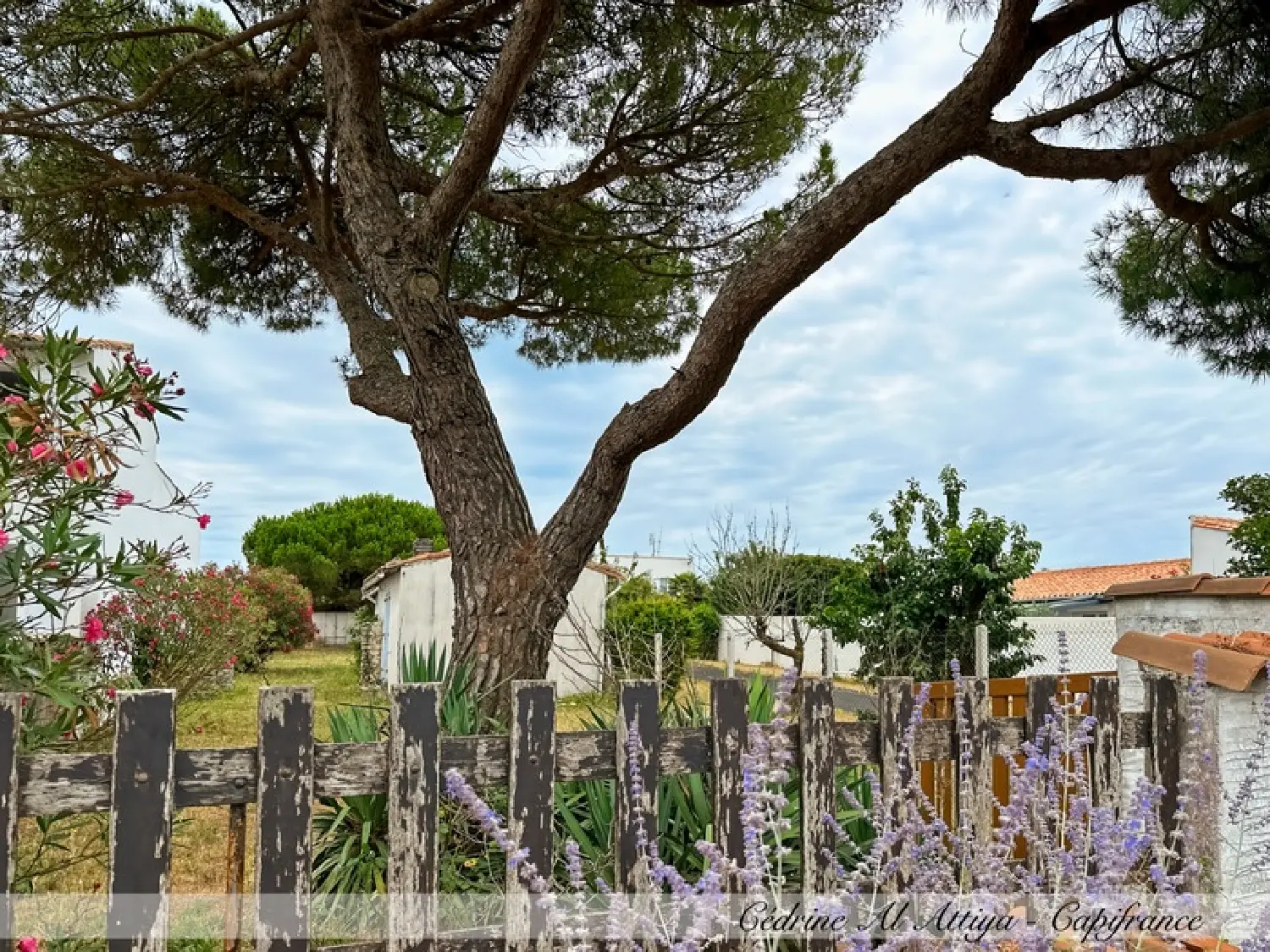  te koop huis La Flotte Charente-Maritime 1