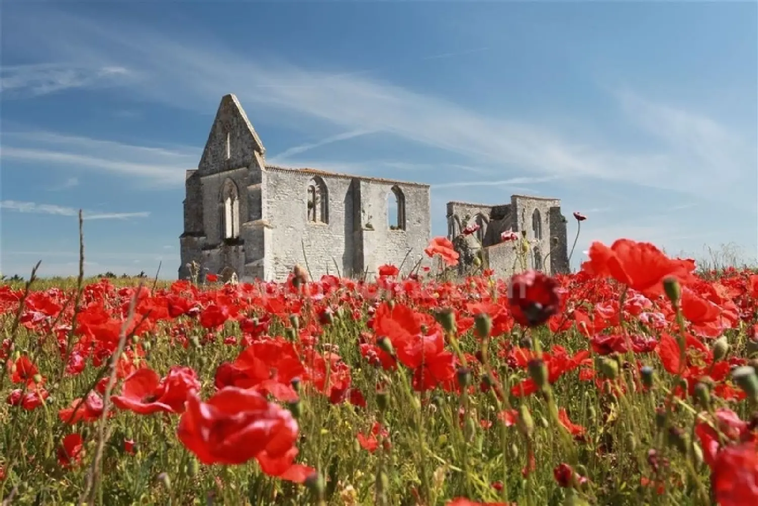  kaufen Haus La Flotte Charente-Maritime 3