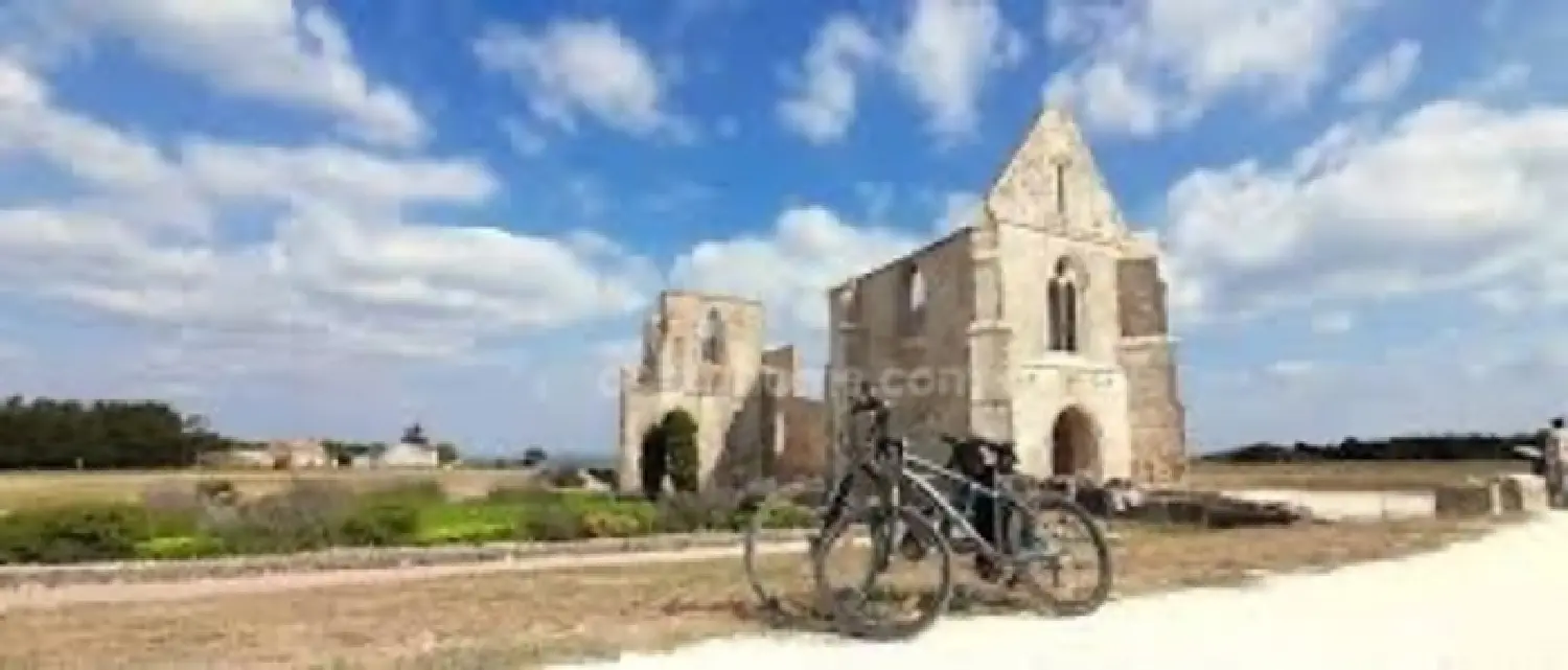  te koop huis La Flotte Charente-Maritime 2