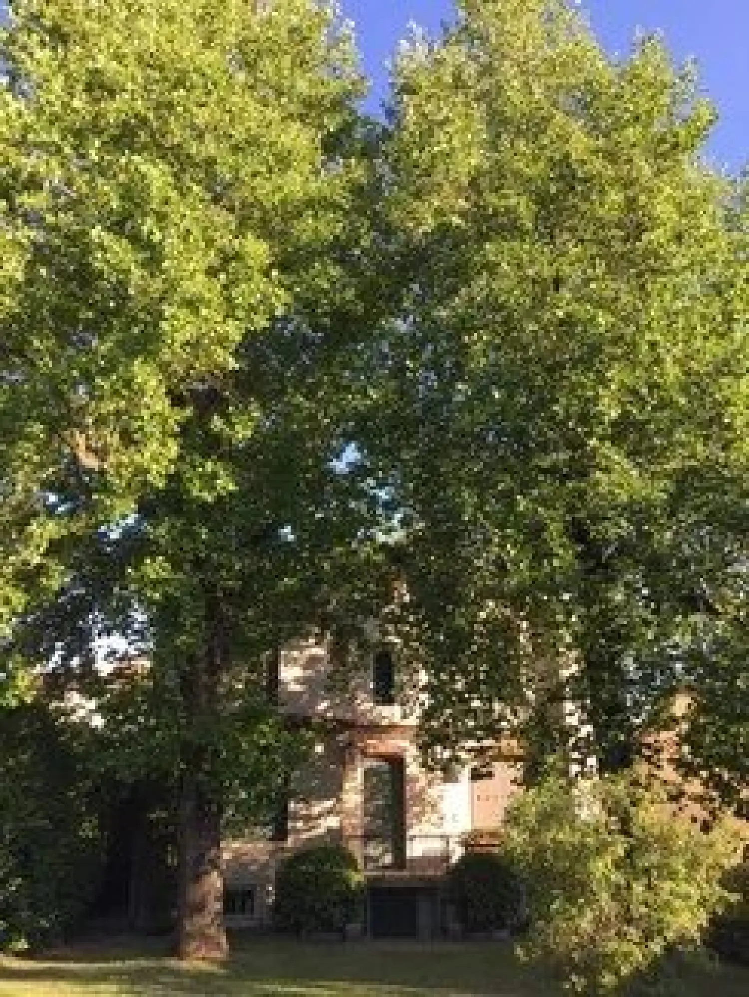  en venta casa Lacaune Tarn 2