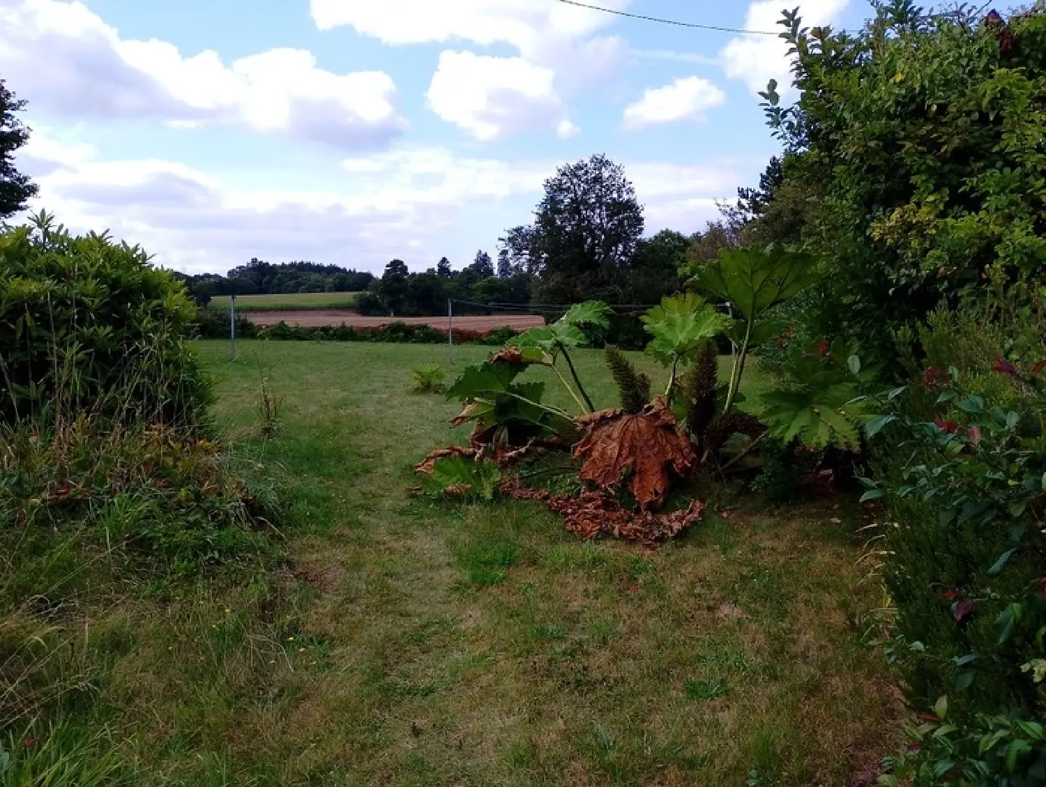  en venta casa Langoëlan Morbihan 1