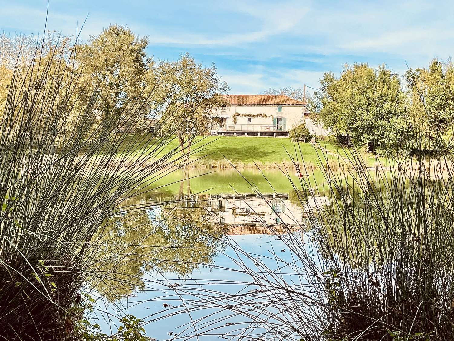  for sale house Le Vigeant Vienne 1