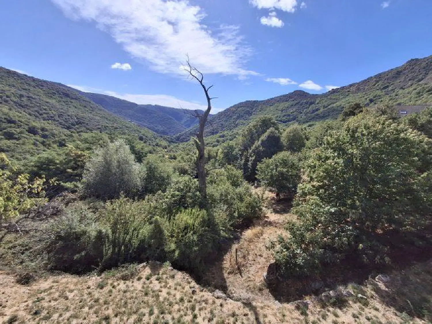  te koop huis Les Vans Ardèche 3