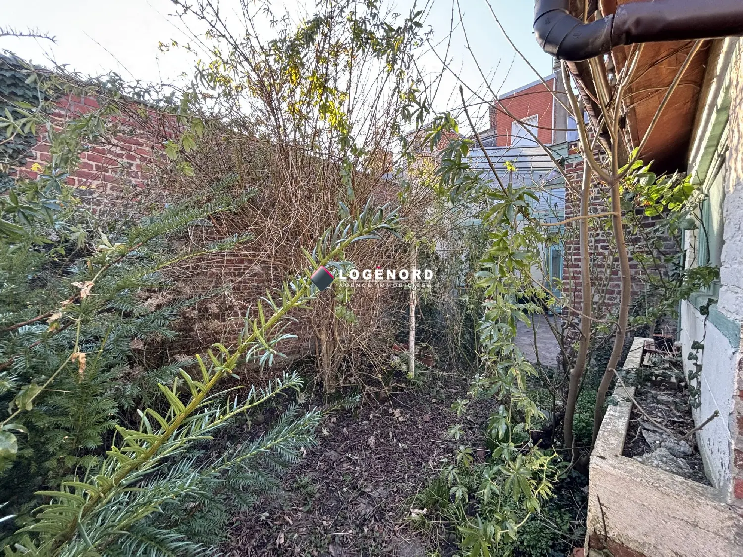  te koop huis Lille Nord 5