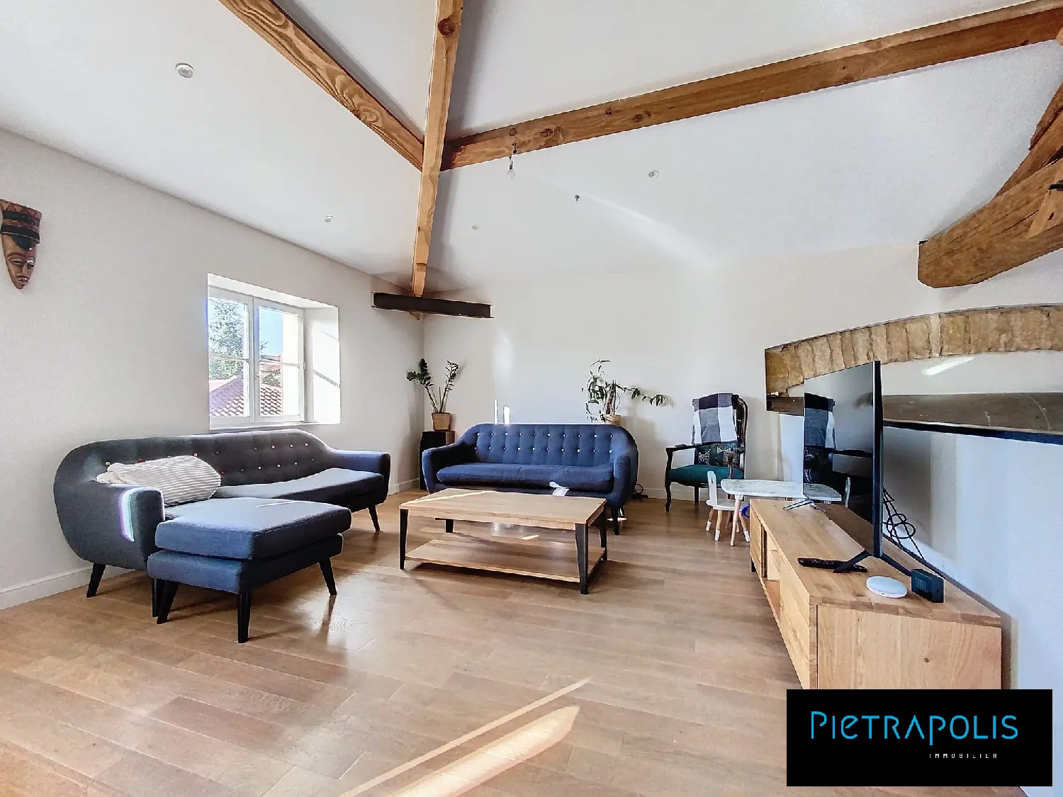  te koop huis Limas Rhône 2