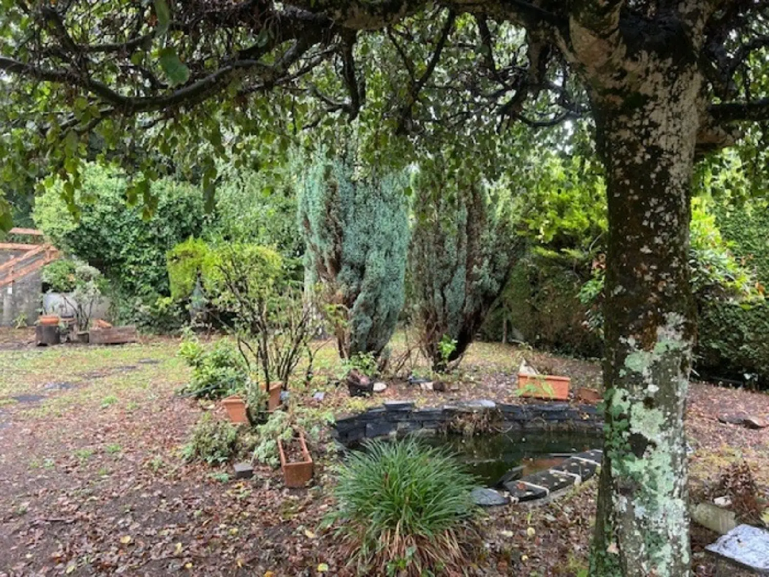  kaufen Haus Lourdes Hautes-Pyrénées 7