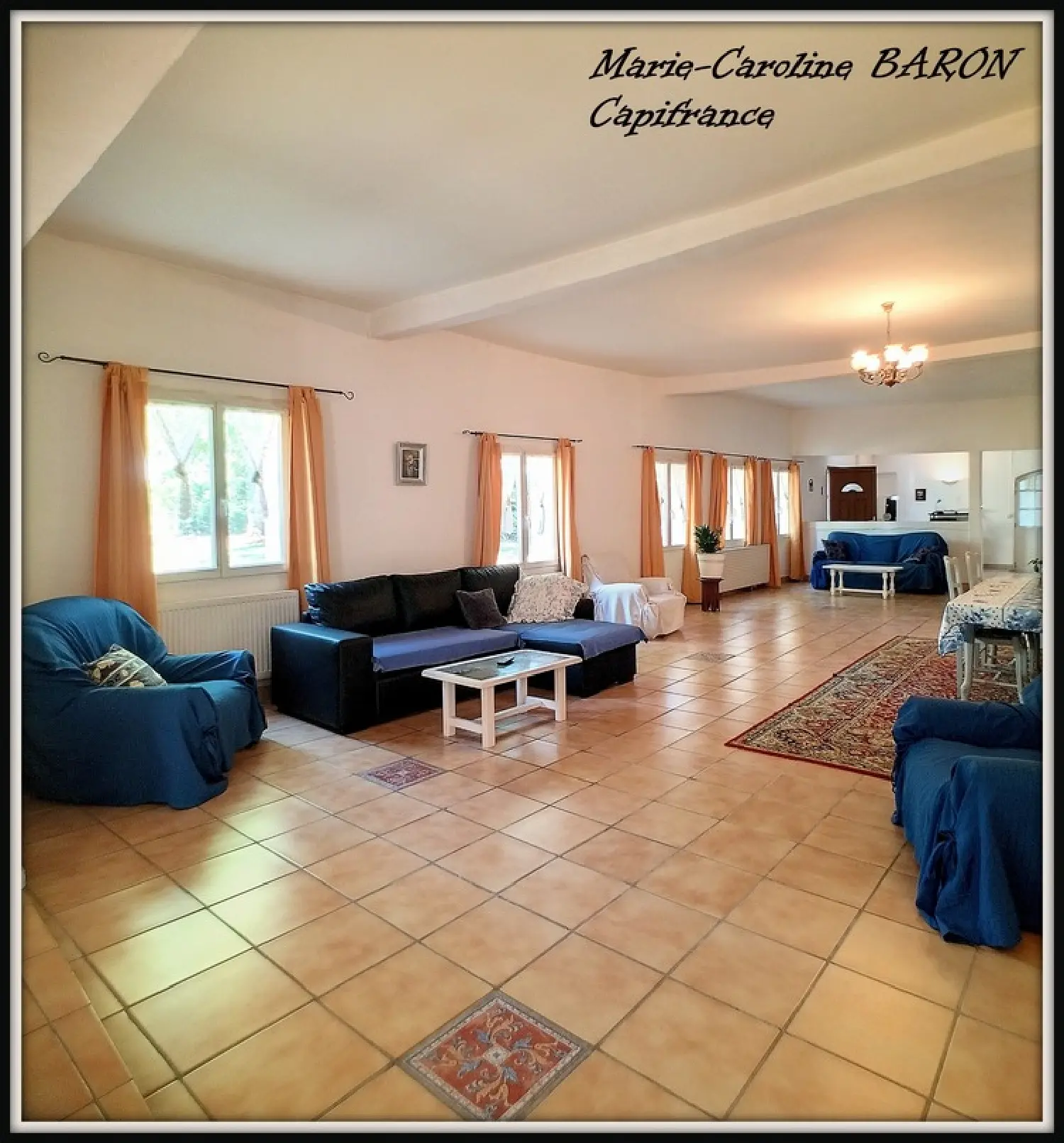  for sale house Luçay-le-Mâle Indre 2
