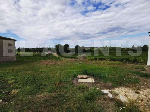 Lussac Gironde maison foto 7142779