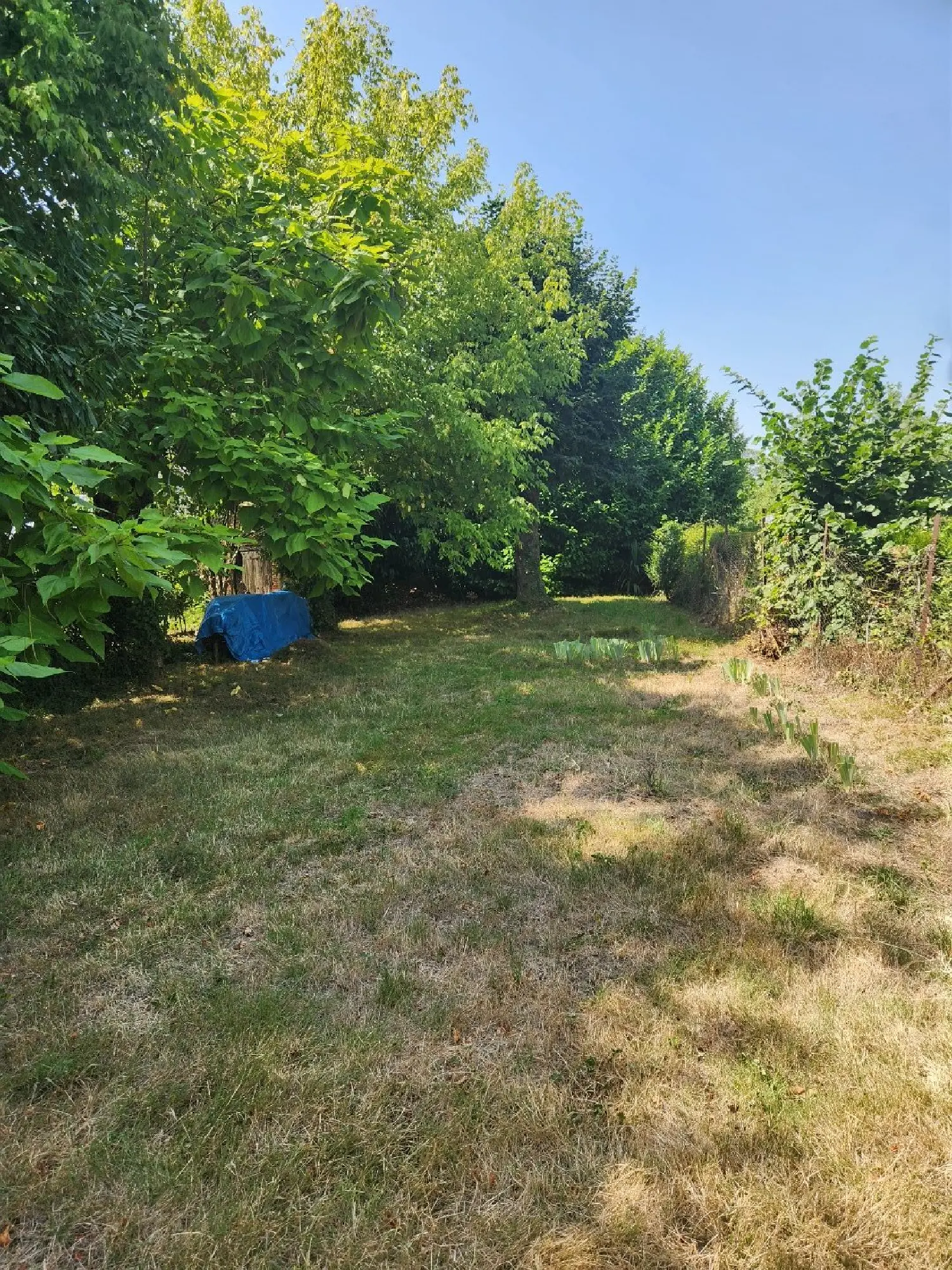  kaufen Haus Manot Charente 5