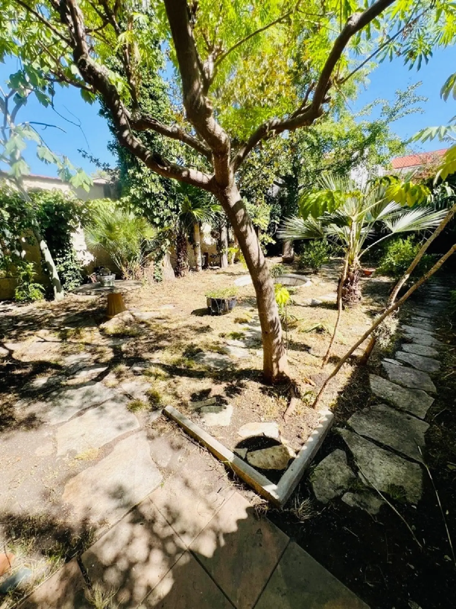  te koop huis Marseille 10e Arrondissement Bouches-du-Rhône 4