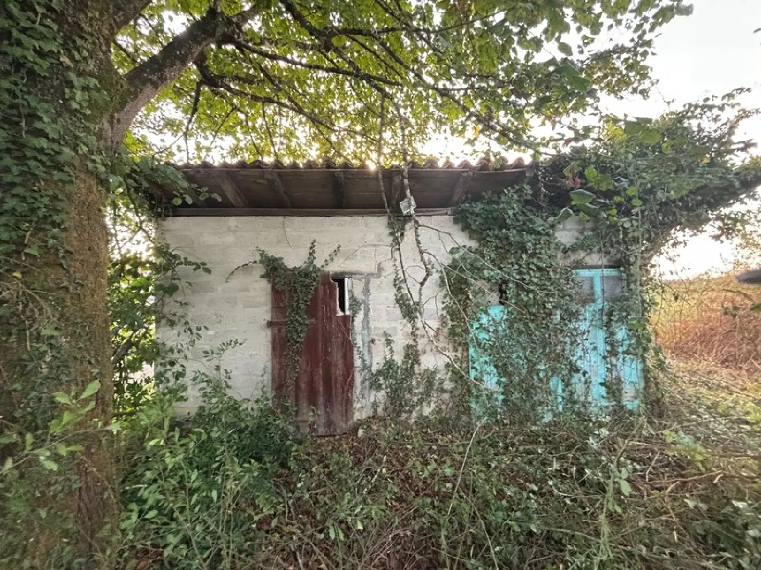 kaufen Haus Mées Landes 2