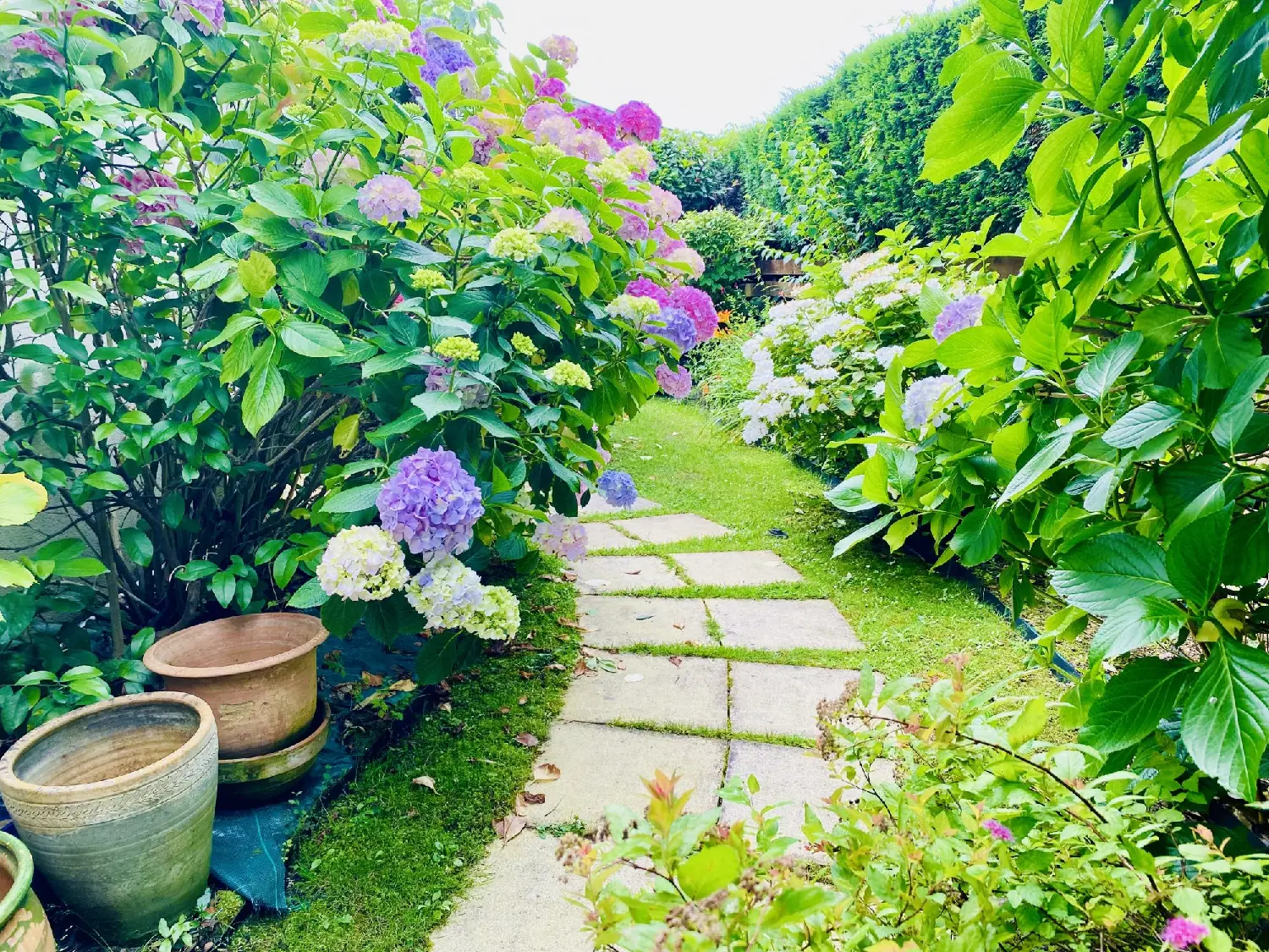  te koop huis Mérignac Gironde 2