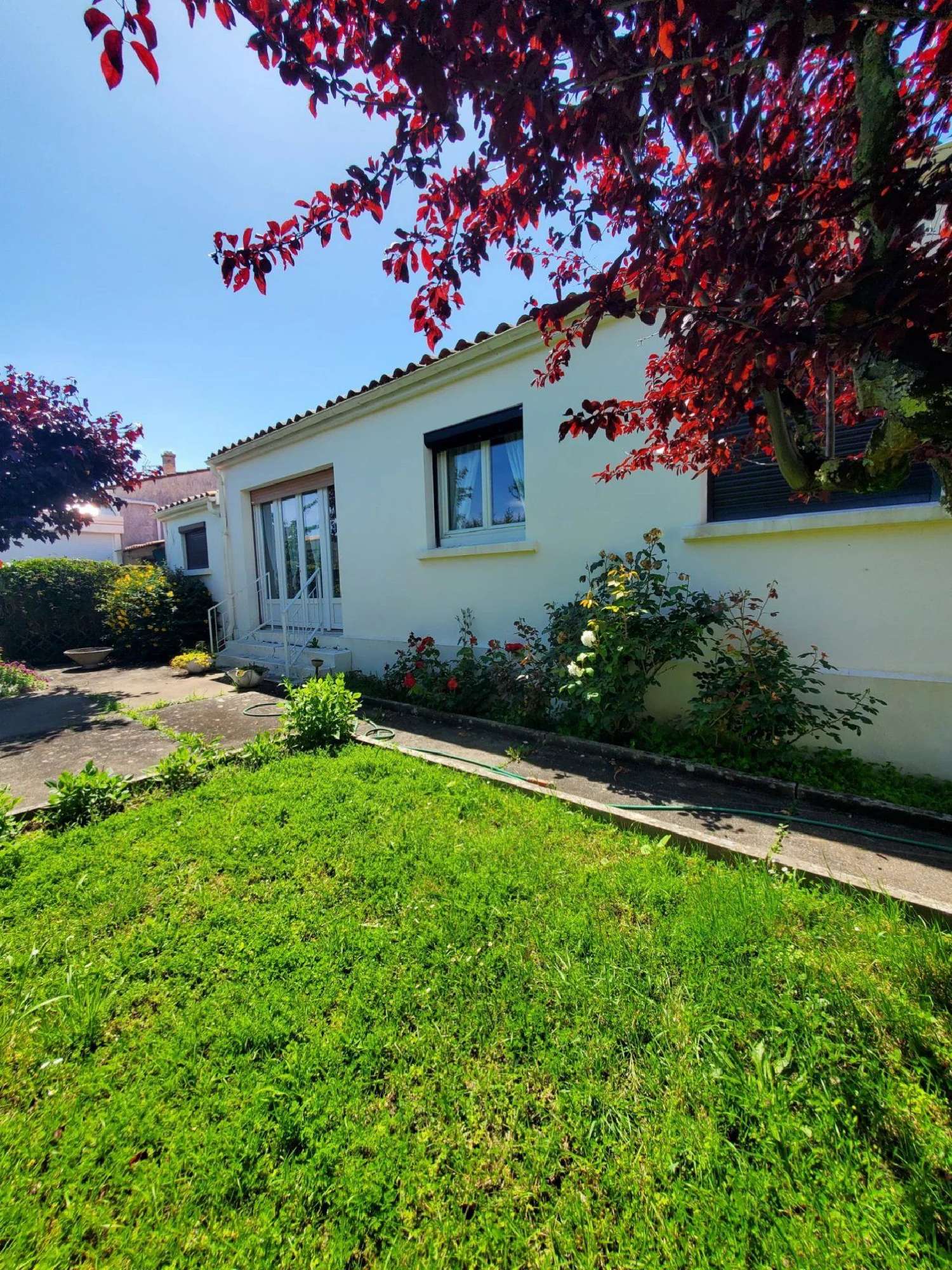  te koop huis Meschers-sur-Gironde Charente-Maritime 1