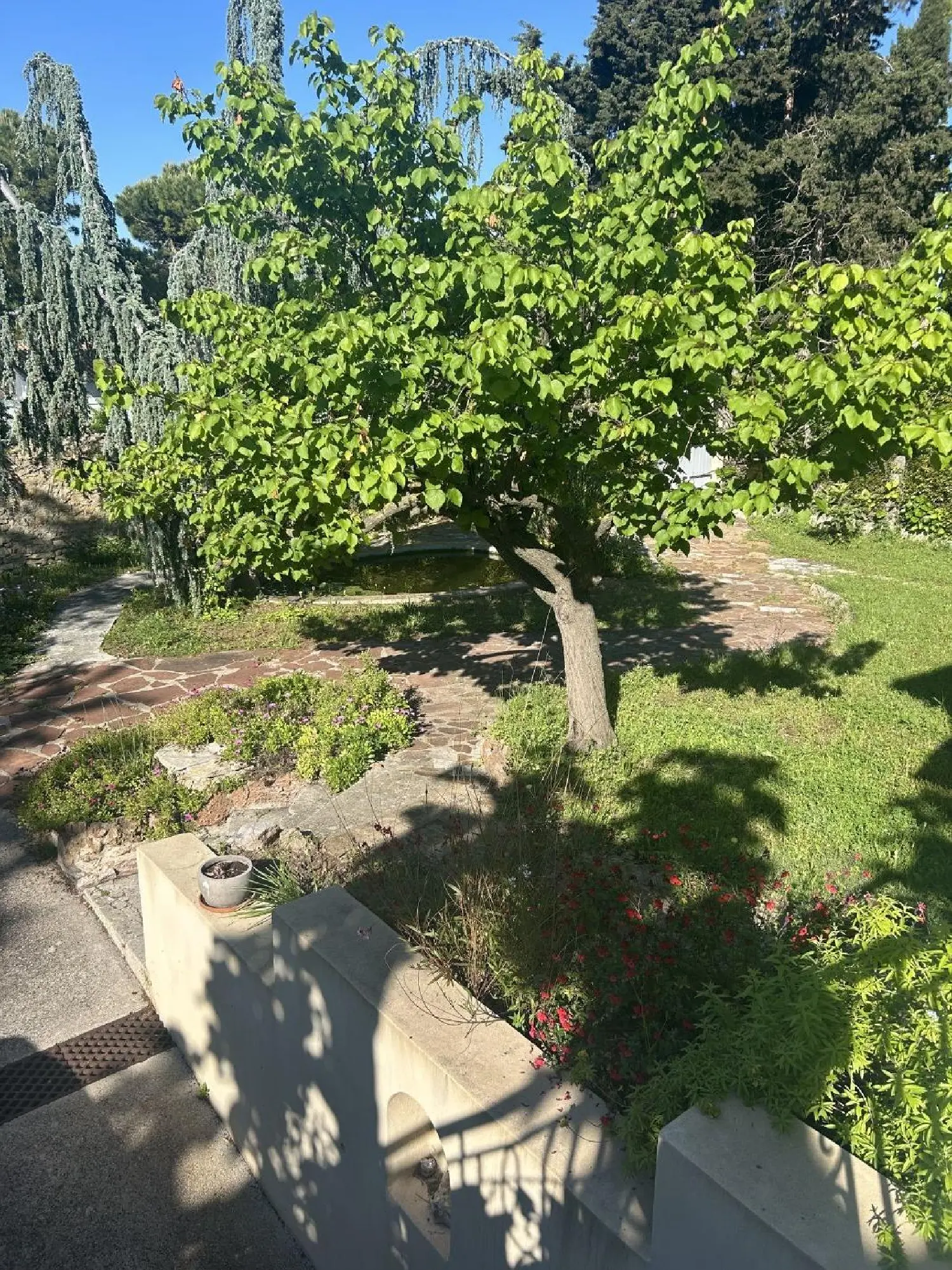  te koop huis Mèze Hérault 3