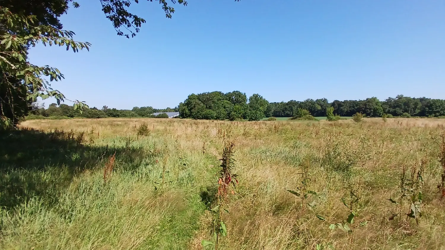  te koop huis Mimbaste Landes 8