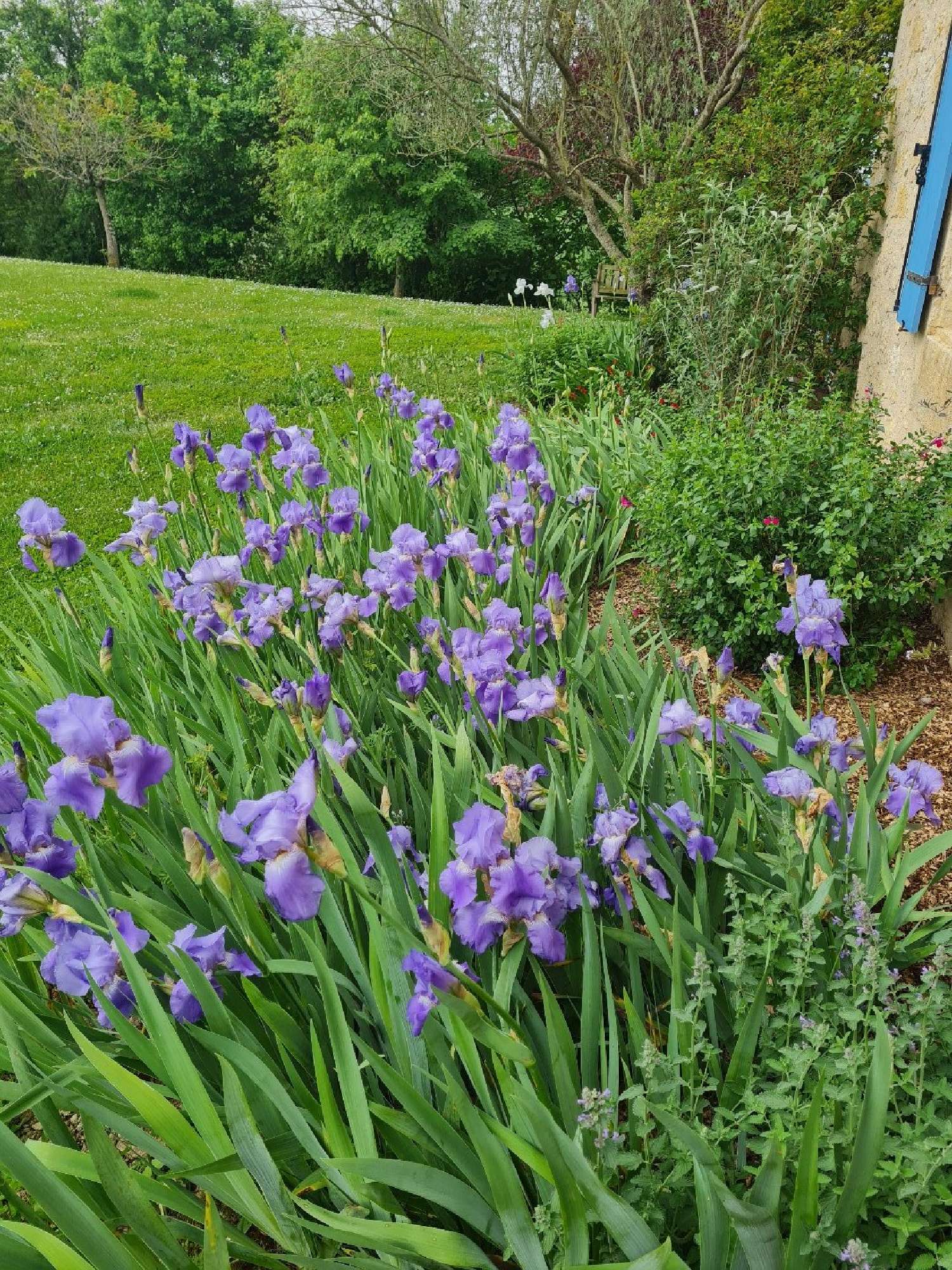 kaufen Haus Miradoux Gers 8