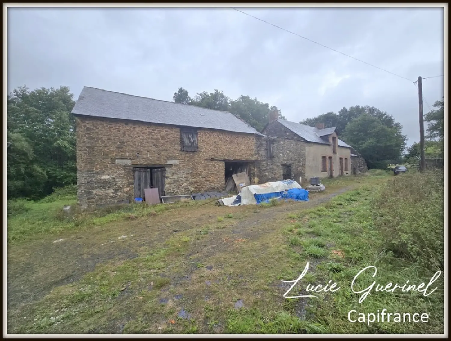  te koop huis Moisdon-la-Rivière Loire-Atlantique 2