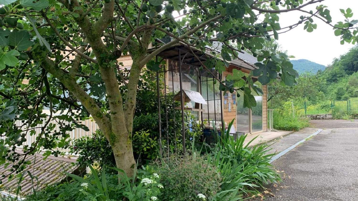  te koop huis Montanges Ain 1