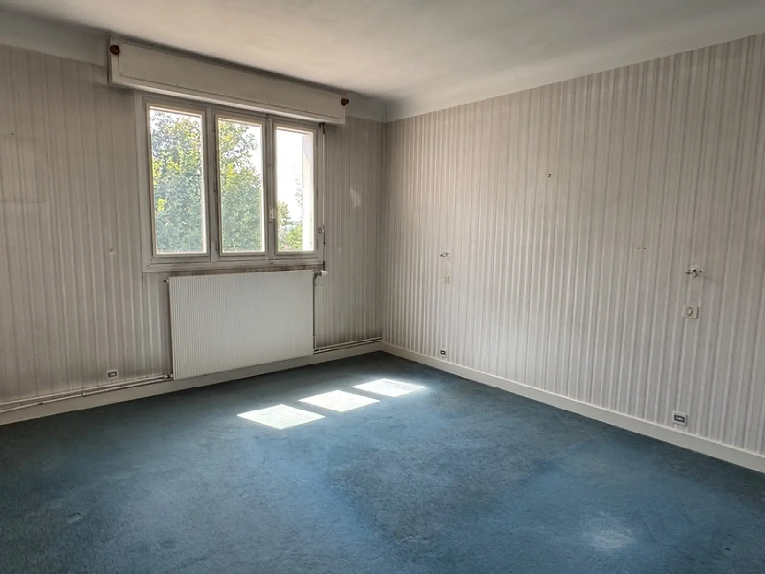  te koop huis Montier-en-Der Haute-Marne 8