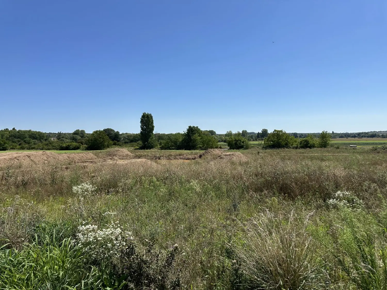  kaufen Haus Montigny-lès-Metz Moselle 2