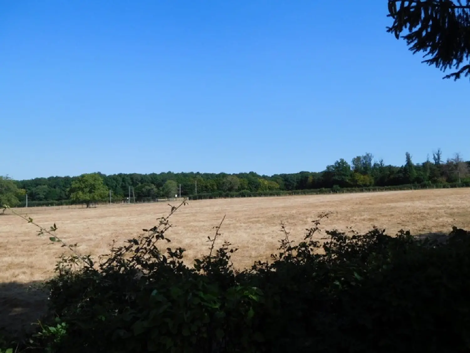  kaufen Haus Montigny-sur-Canne Nièvre 5