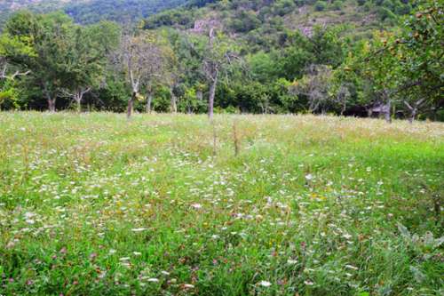 Montpezat-sous-Bauzon Ardeche house foto 7141942
