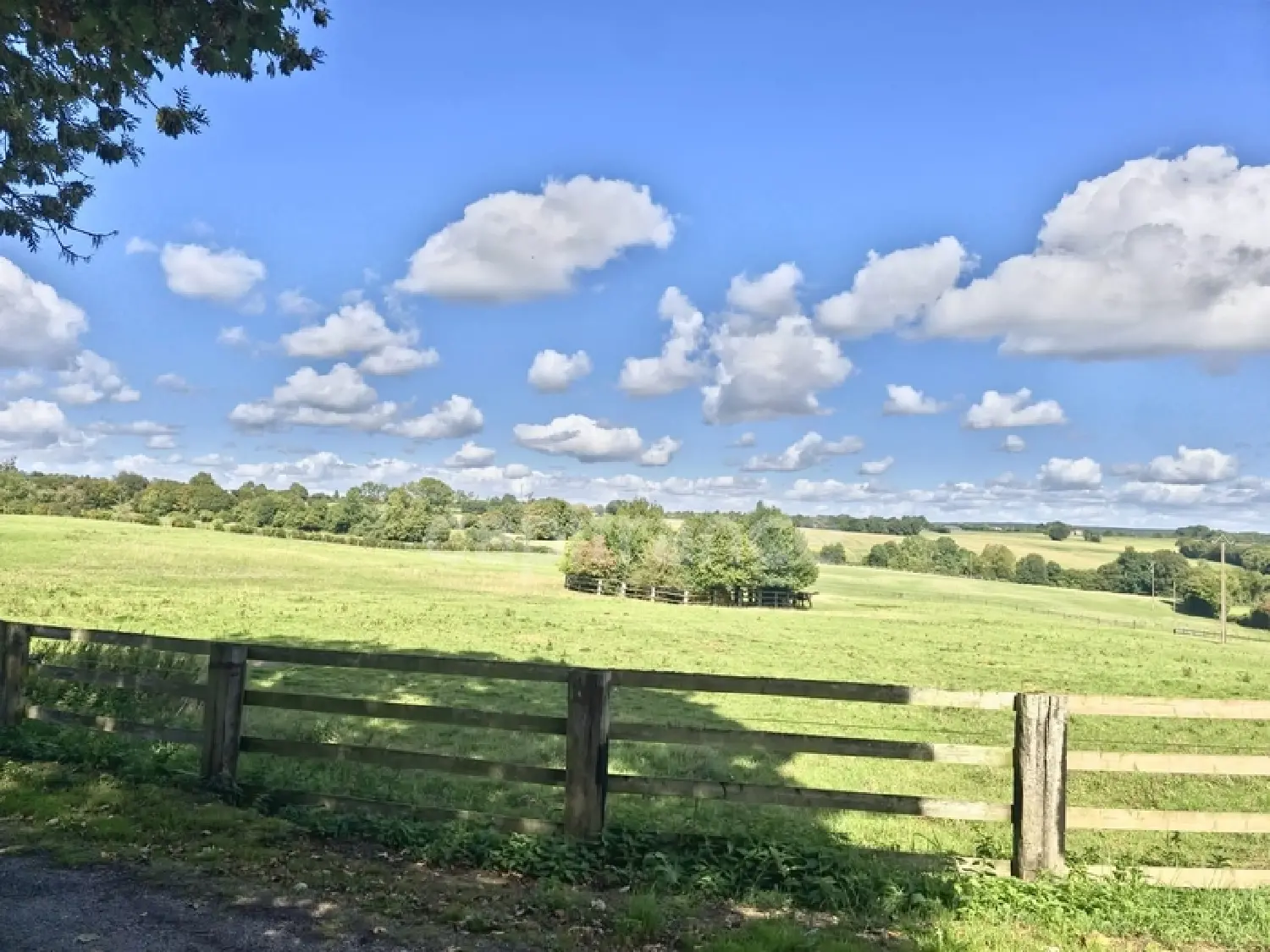  te koop huis Moulins-la-Marche Orne 7
