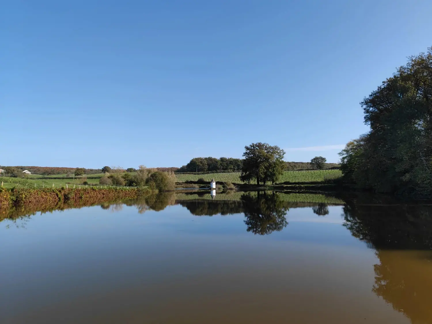  te koop huis Mouron-sur-Yonne Nièvre 3
