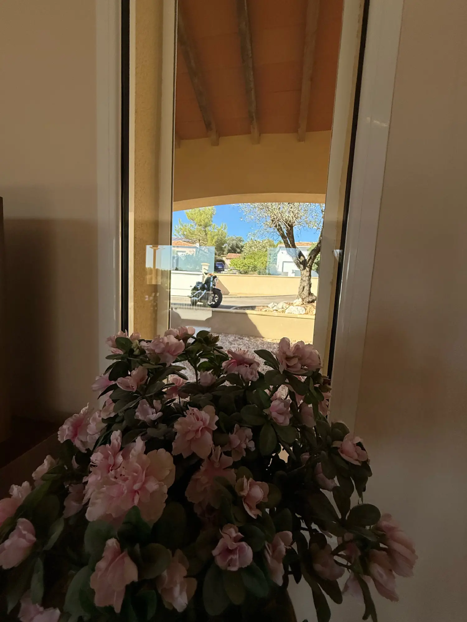 kaufen Haus Murles Hérault 8