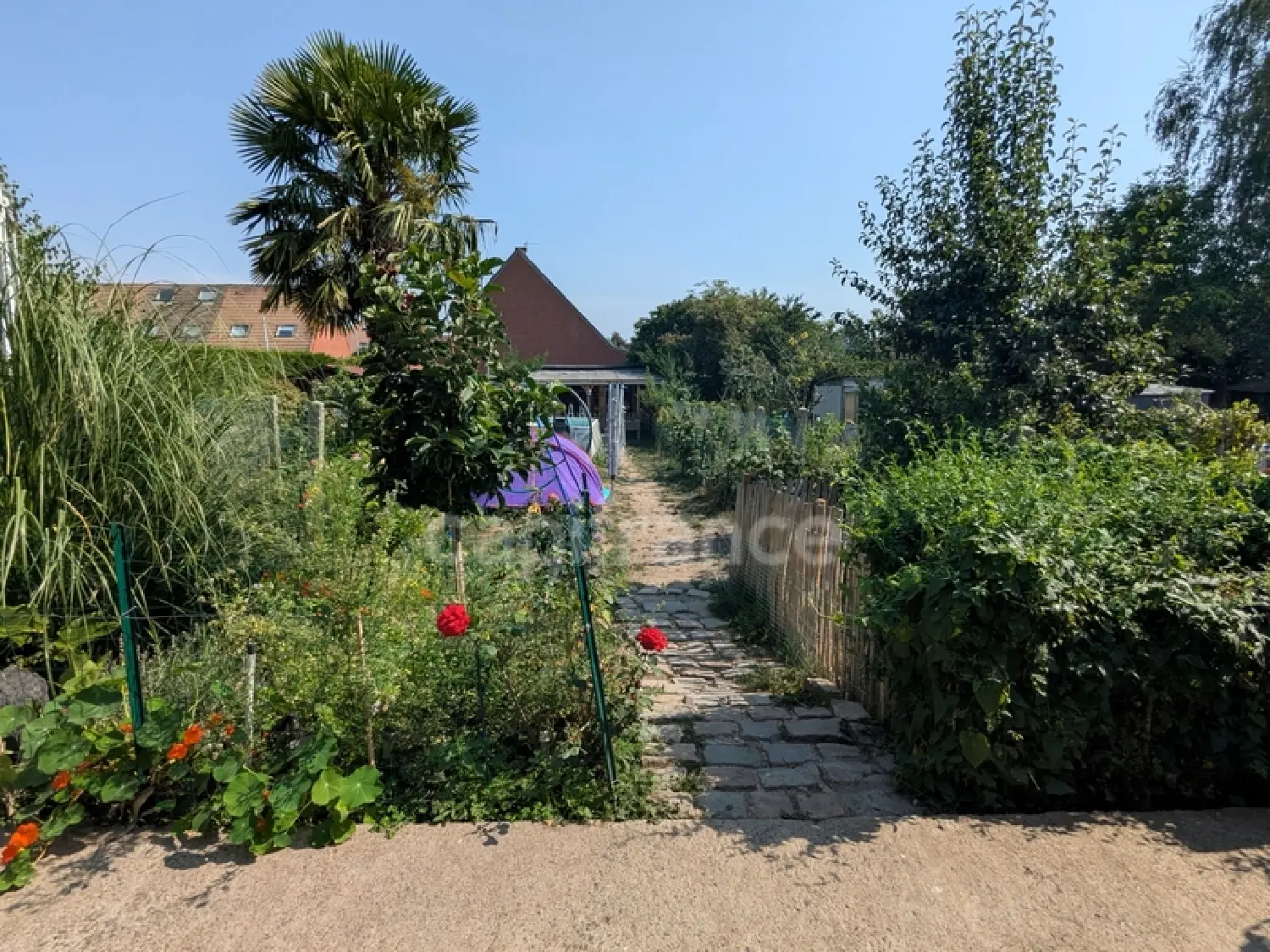  te koop huis Neuville-en-Ferrain Nord 3