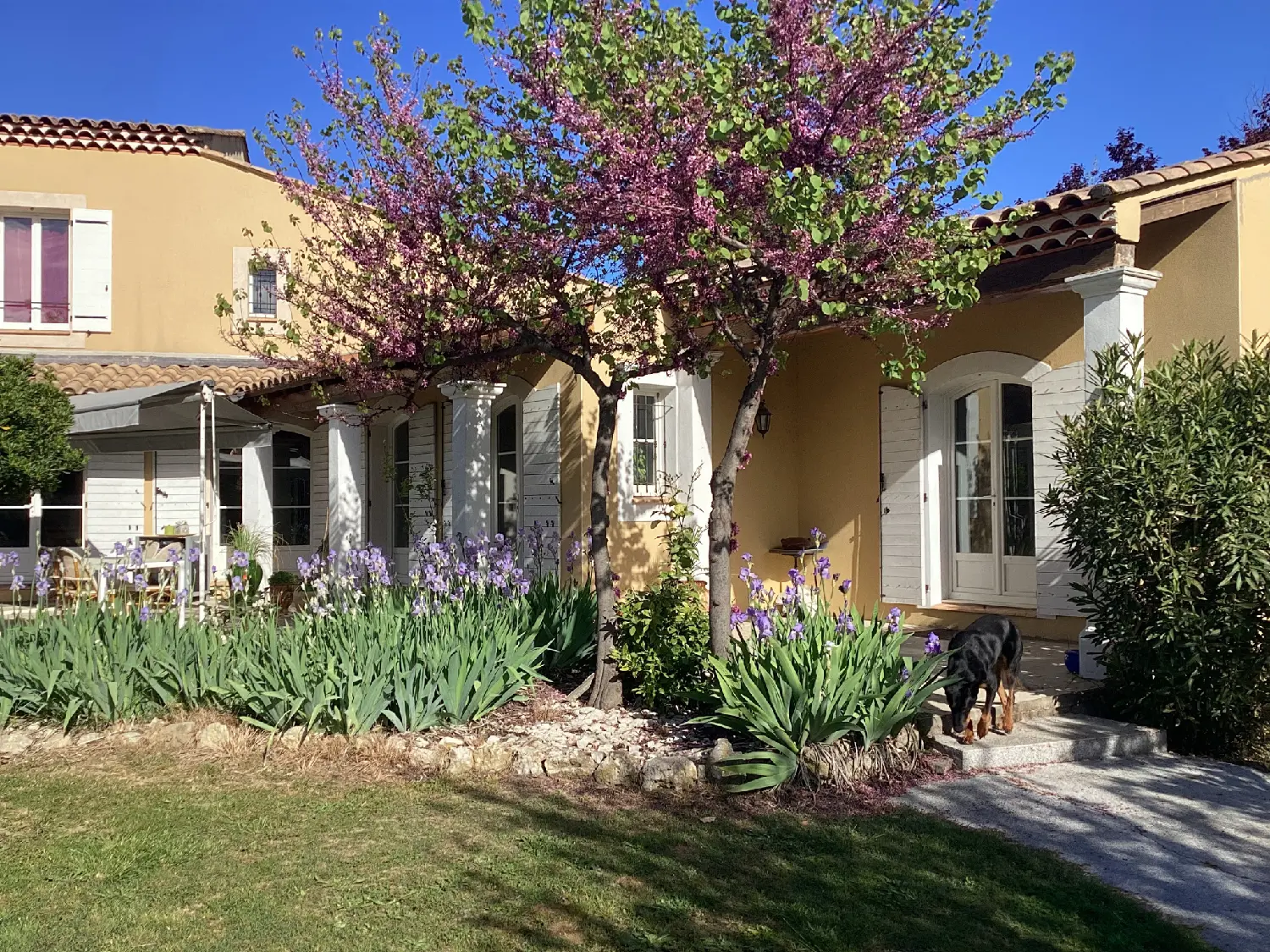  te koop huis Nîmes Gard 7