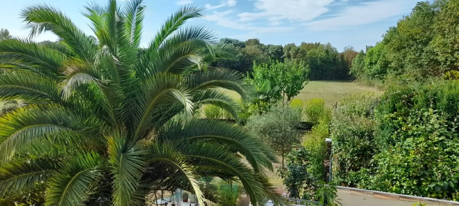  te koop huis Niort Deux-Sèvres 3
