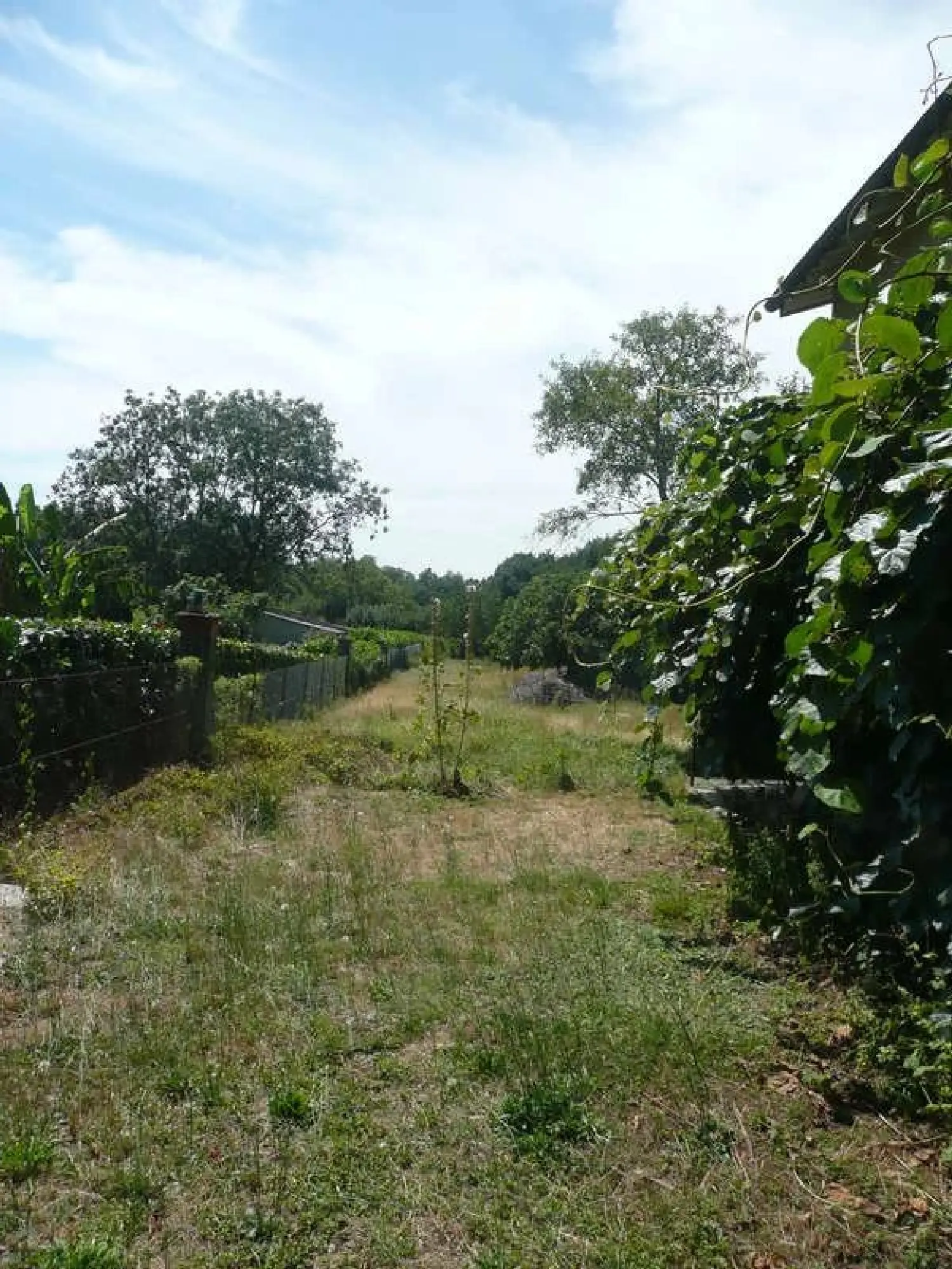  te koop huis Noailhac Tarn 2