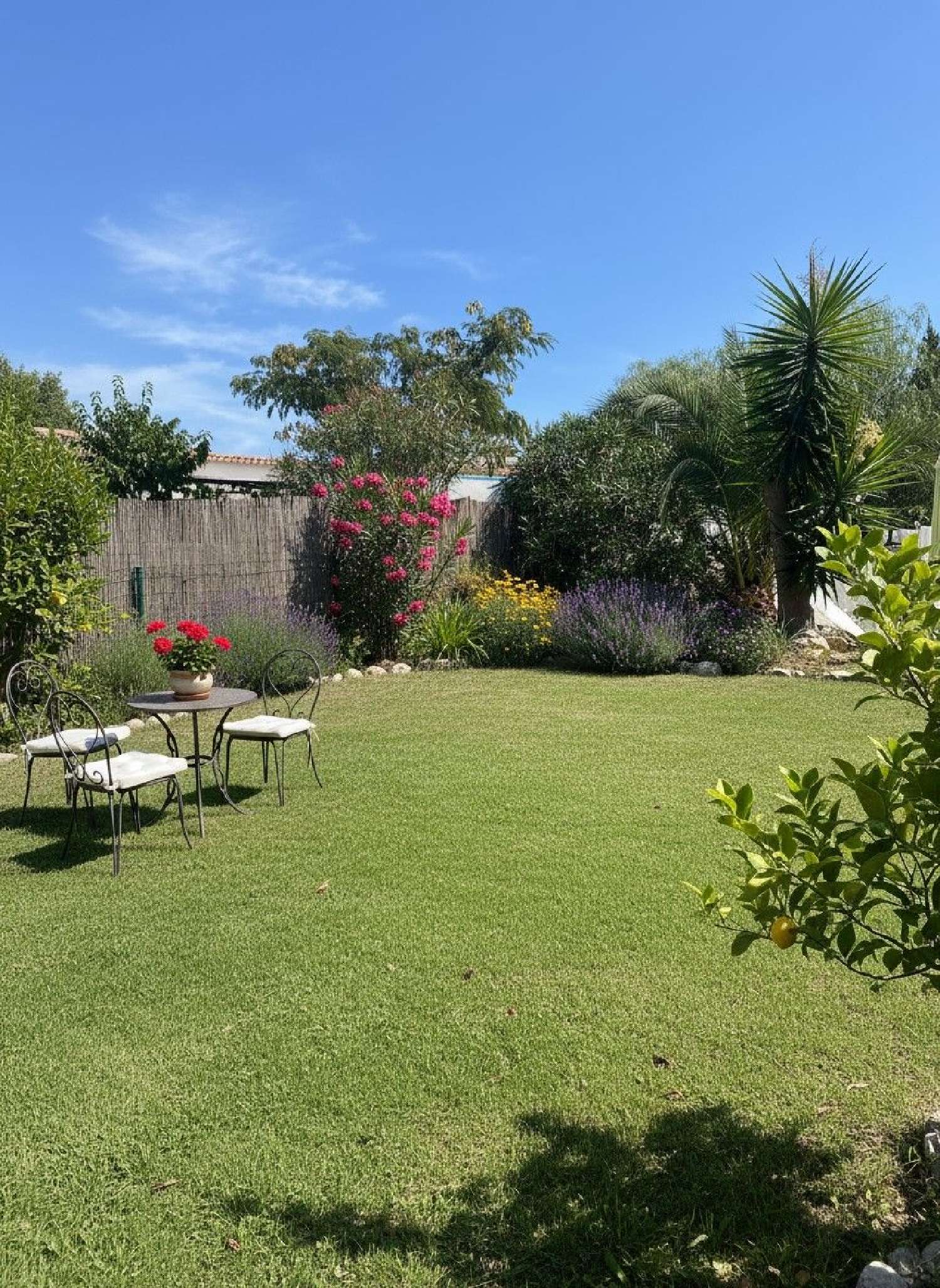  te koop huis Oletta Haute-Corse 1