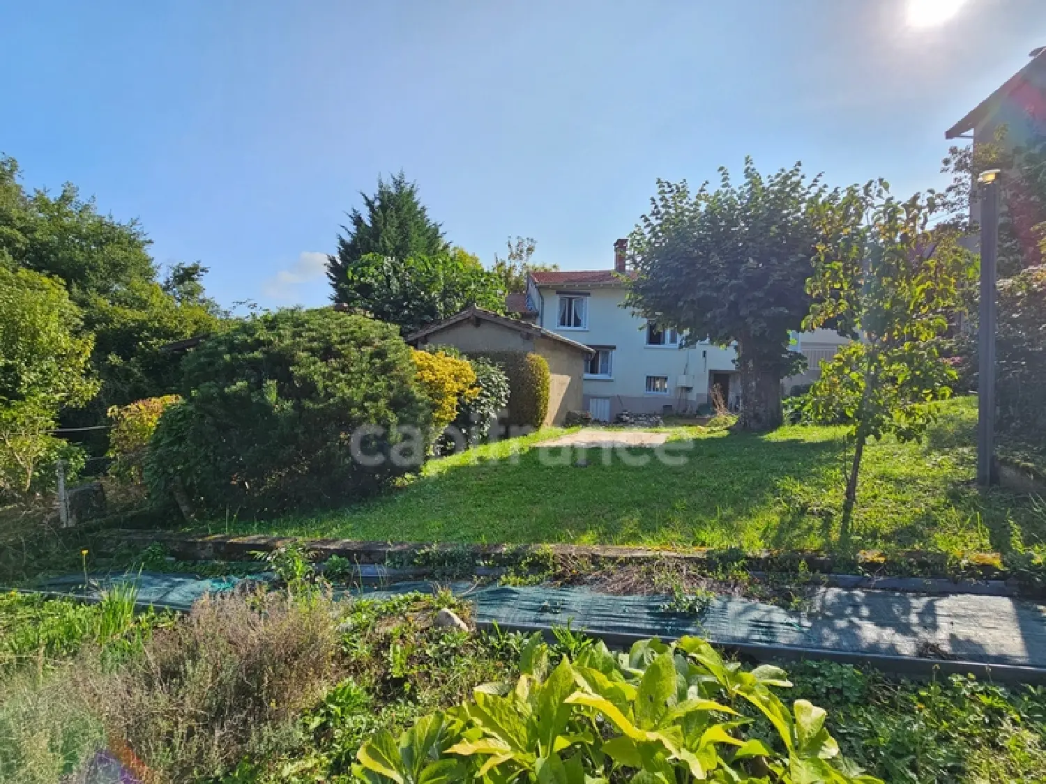  for sale house Panissières Loire 1