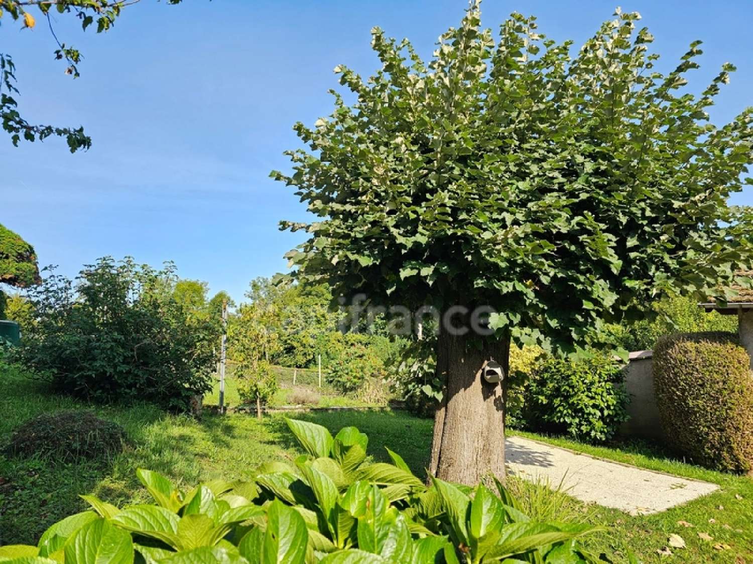  te koop huis Panissières Loire 5