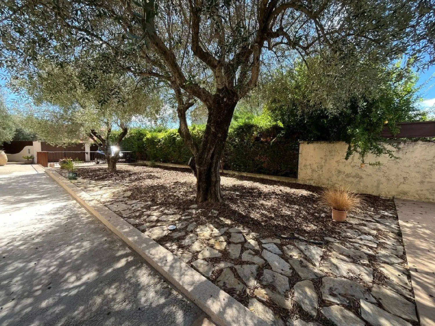  te koop huis Pégomas Alpes-Maritimes 7
