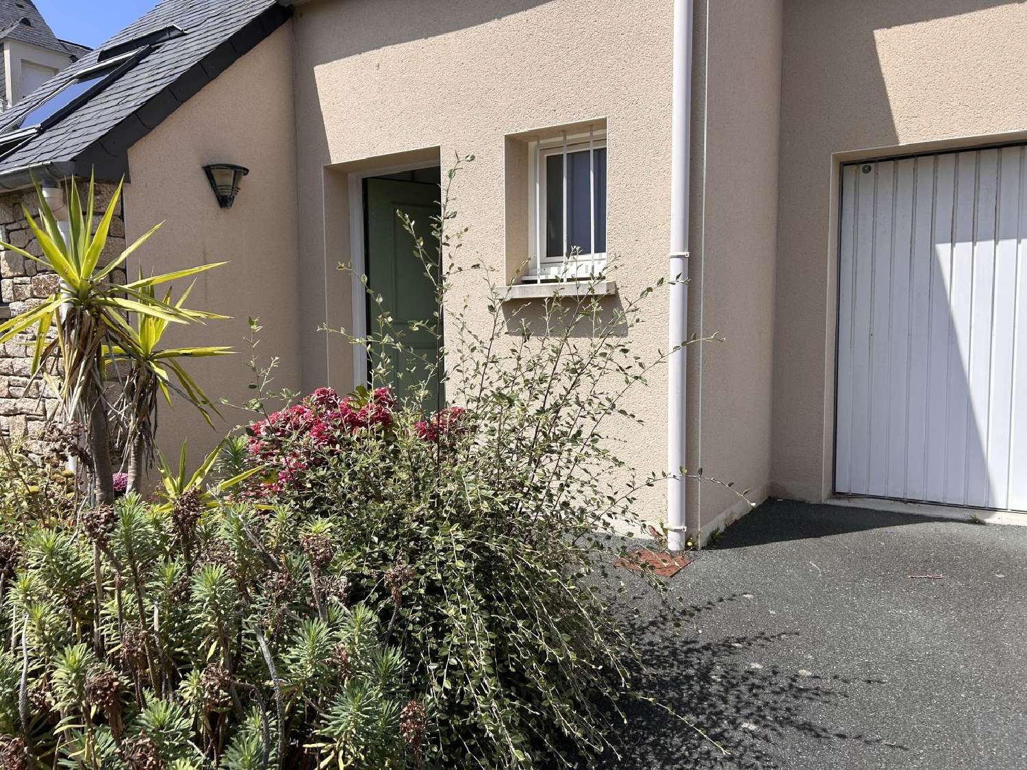  kaufen Haus Perros-Guirec Côtes-d'Armor 1