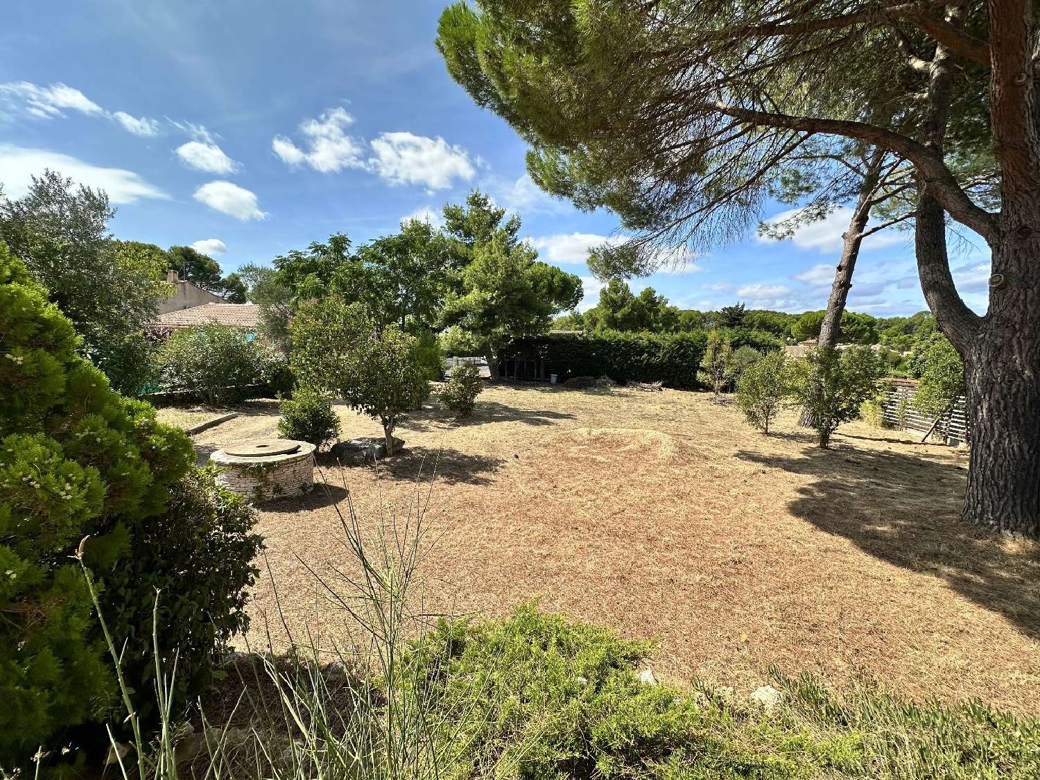  kaufen Haus Pézenas Hérault 2