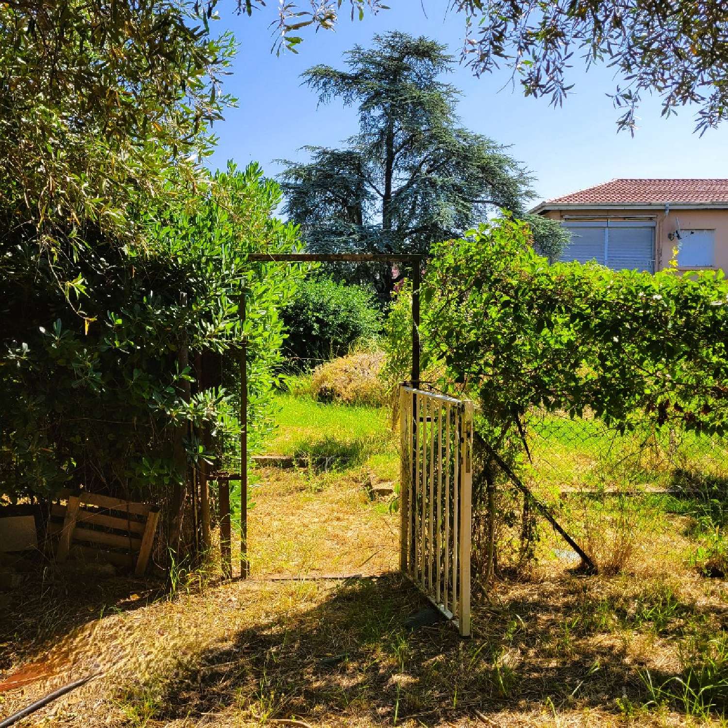  kaufen Haus Pézenas Hérault 4