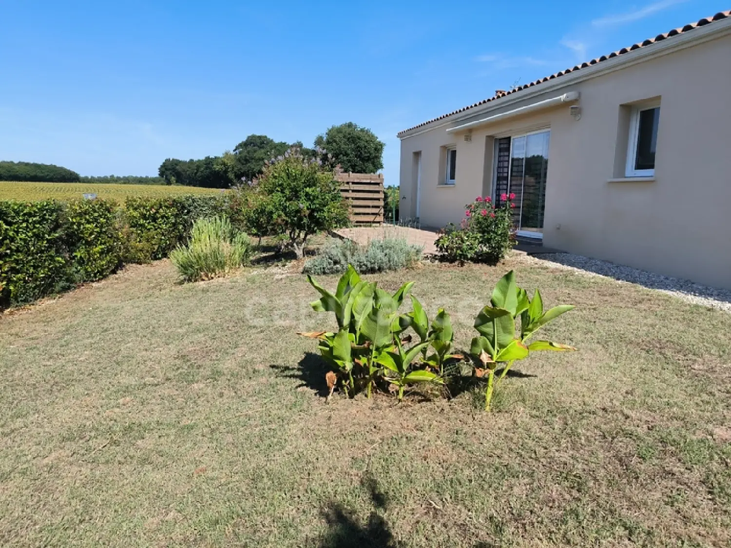  te koop huis Pisany Charente-Maritime 3