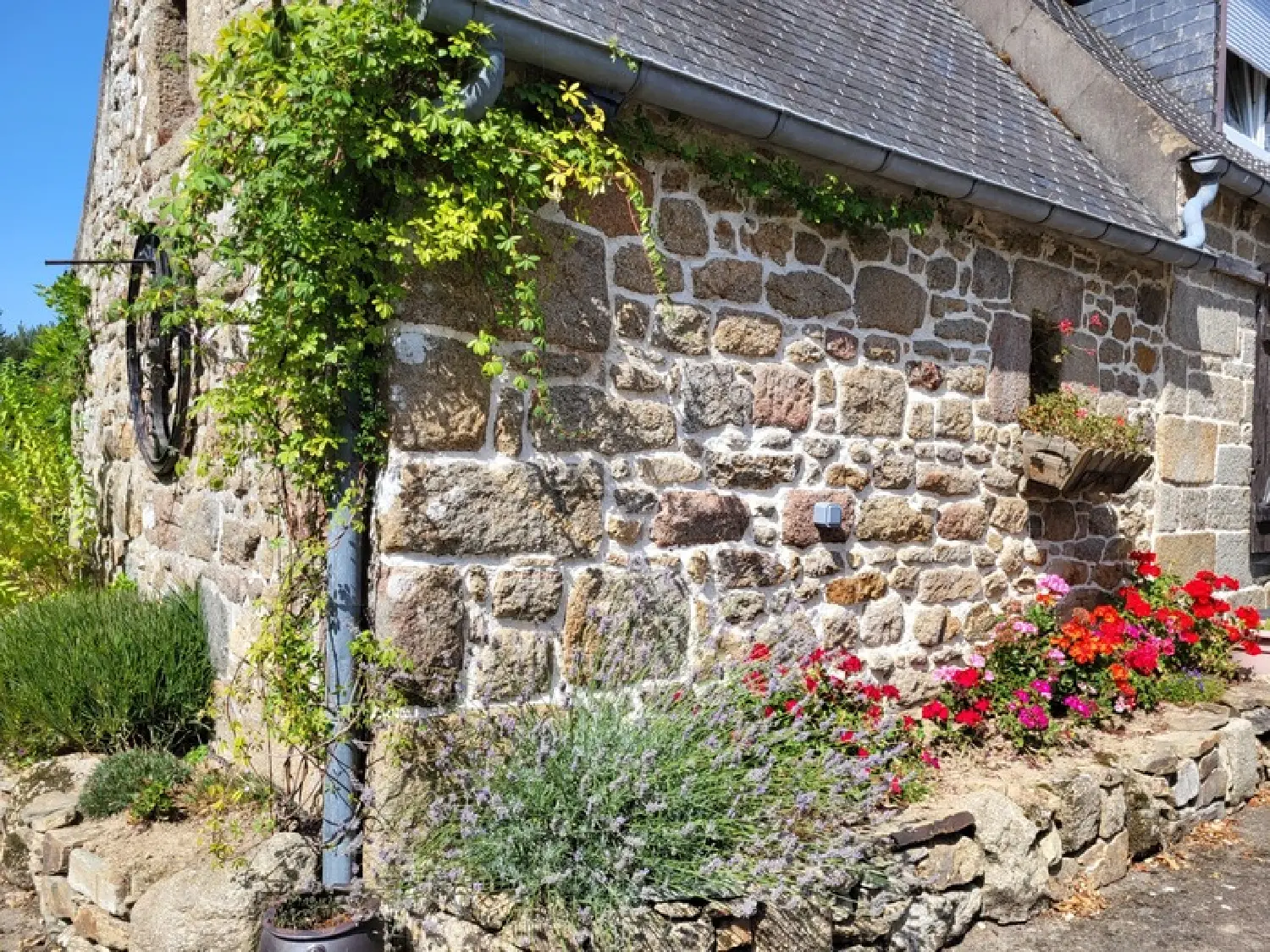  en venta casa Ploubezre Côtes-d'Armor 8